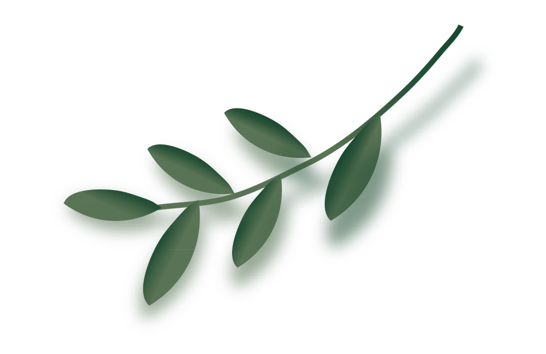 心愿|今天和复旦录取通知书一起到了！惊喜！校园开放日上写下的心愿