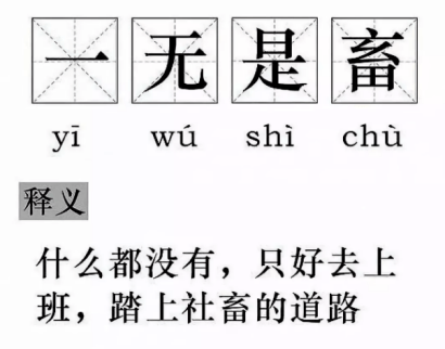 向往的生活丨当代社畜消极奋斗不完全解读