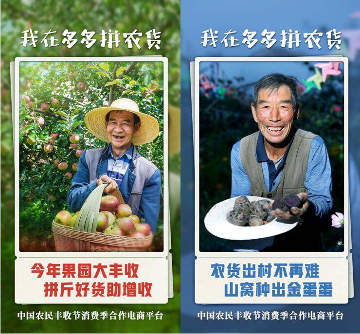 多多|拼多多上线第二届农货节 预计为农产区带来超2亿笔订单