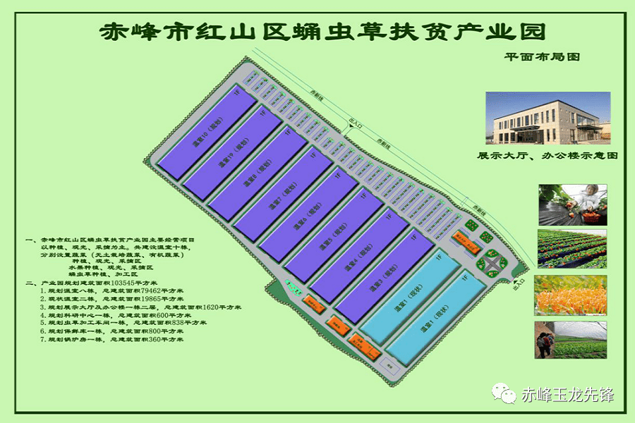 村集体经济资产总量是指_资产负债表