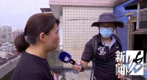 元凶|头皮发麻！上海一小区下起“蟑螂雨”，居民一晚上看到几千只蟑螂，元凶竟然是它