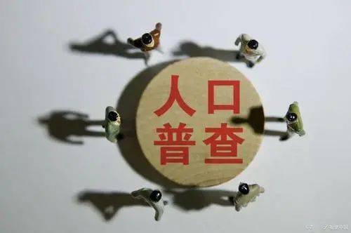 下一次人口普查是哪一年_人口普查图片