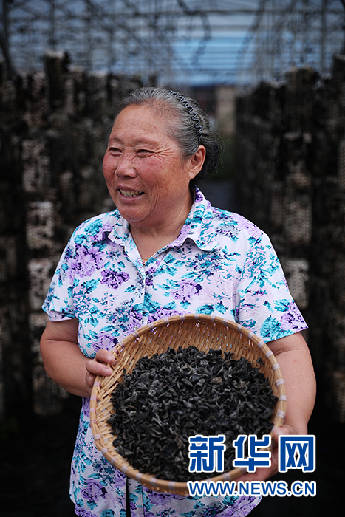 边疆|【幸福花开新边疆】记者手记：“下单”呼伦贝尔