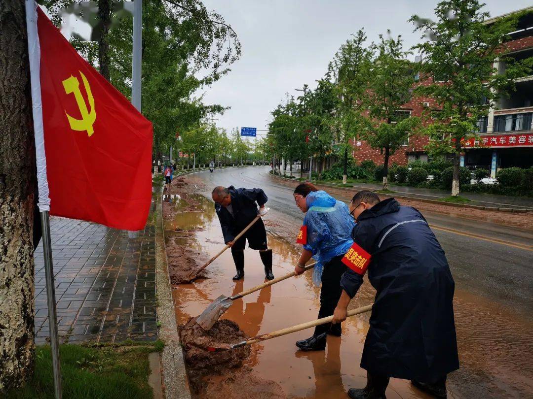 先锋模范作用,组建党员突击队,深入网格区集中清理因特大暴雨留下的