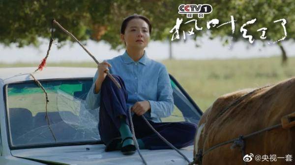 兰州|《枫叶红了》收视飘红，兰州姑娘戏红人更红