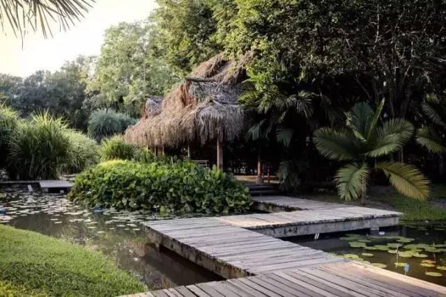 热带雨林|还好吃！【逛吃】西双版纳不仅美