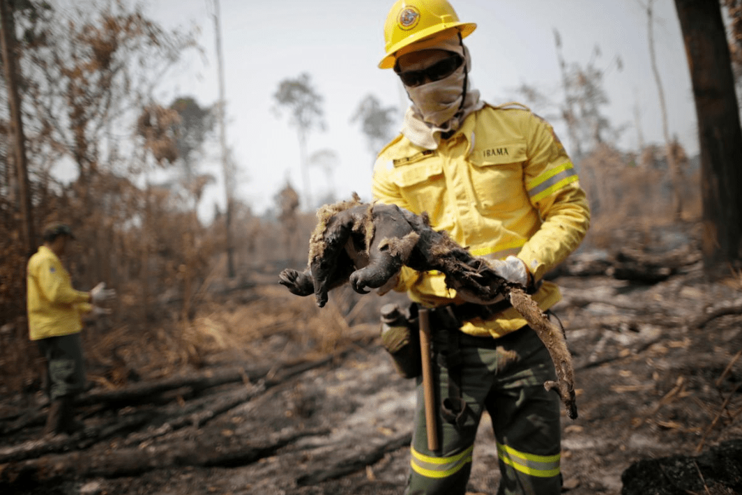 索纳罗|死亡人数超10万！巴西州政府火速下单俄罗斯疫苗