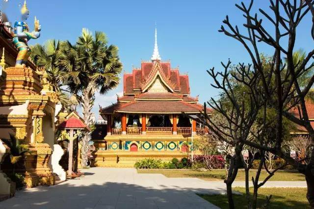 热带雨林|还好吃！【逛吃】西双版纳不仅美