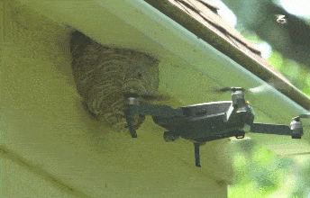 【多图预警】敢捅马蜂窝的人到底有多