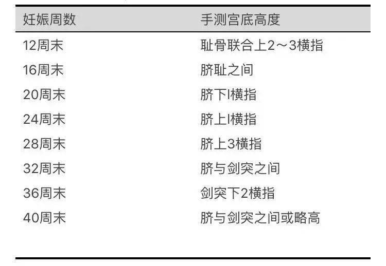 子宫增大根据手测宫底高度及尺测耻上子宫长度(下表,可以判断妊娠周