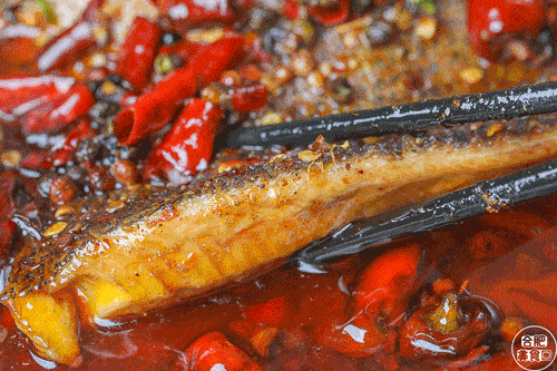 合肥|这家烧烤店真没几个对手！在合肥