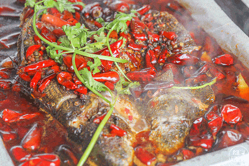 合肥|这家烧烤店真没几个对手！在合肥