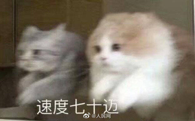 基站|我国5G基站累计超40万个