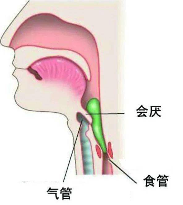 孩子|苏州一小男孩吃完饭摔跤大哭窒息不幸脑死亡...医生：这6分钟的抢救时间千万别错过