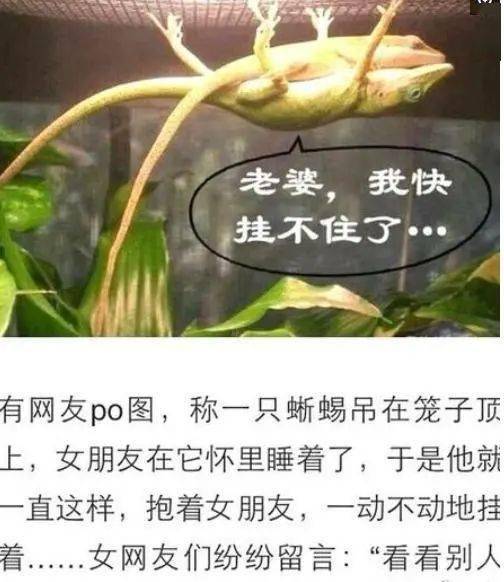 11张搞笑图片,这是想要"笑死"人吗