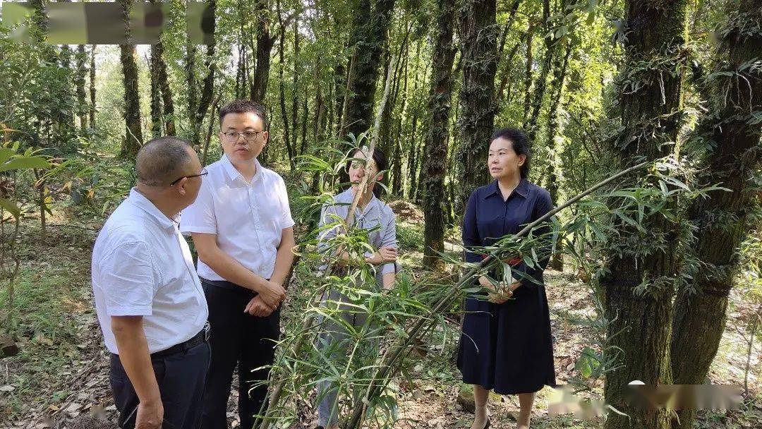 贵州师范大学党委书记韩卉率队到安龙县开展脱贫攻坚校地合作考察调研