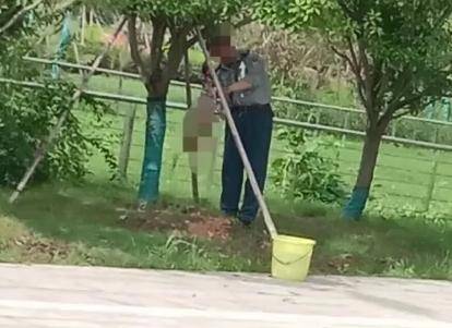 阿黄|痛心！老校长刚退休，养了5年的流浪狗被保安杀害了