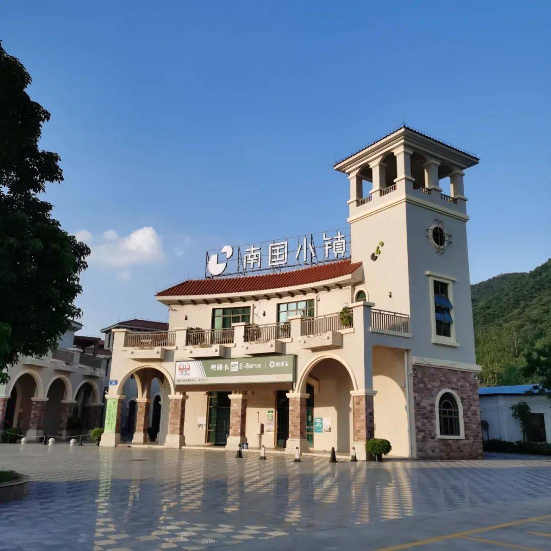 肇庆市有多少人口_肇庆市那里有古红棉树(3)