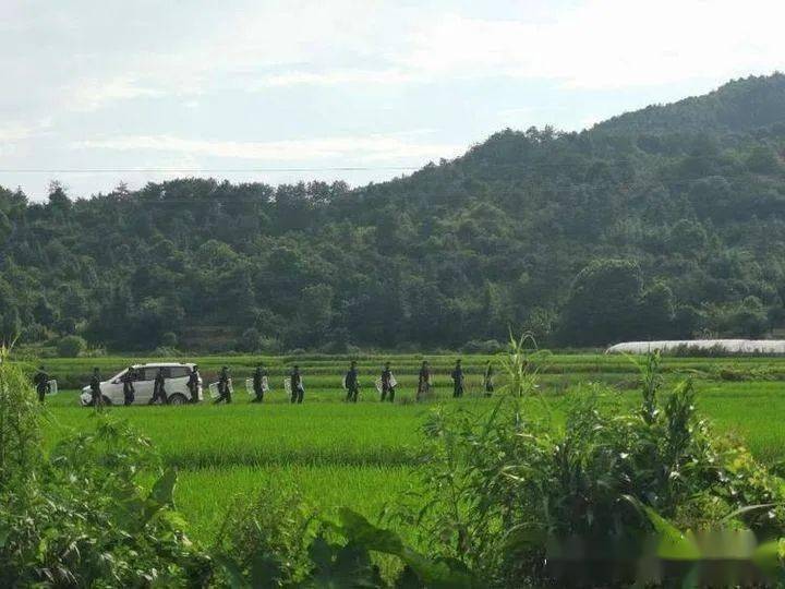 山砀人口(2)