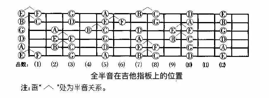 吉他小蜜蜂简谱歌谱_小蜜蜂简谱歌谱(3)