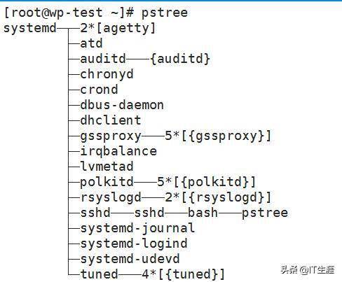 linux怎么看进程中的名字
