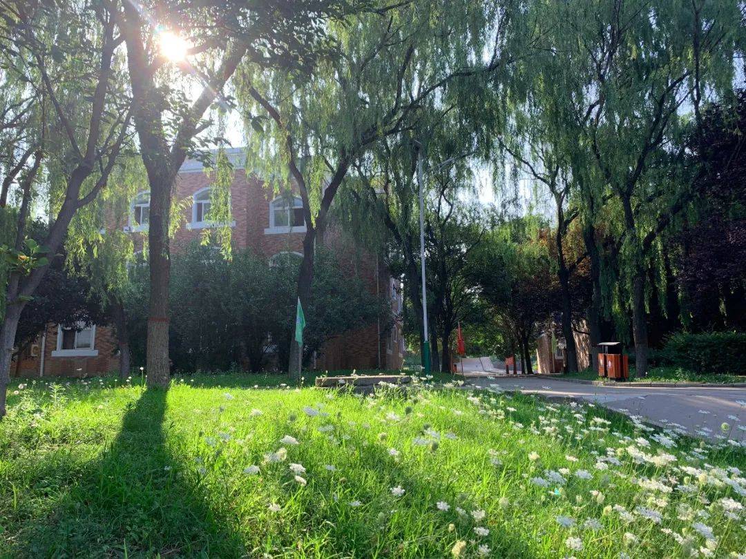 火车司机|补录通知：临沂地区火车司机5名、高铁乘务6名……初高中毕业生可报