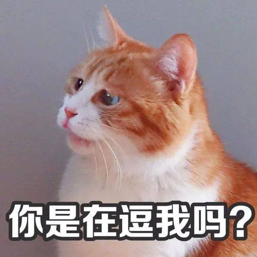 宿管|山东一大学学生时隔7个多月返校，被宿管阿姨问懵了