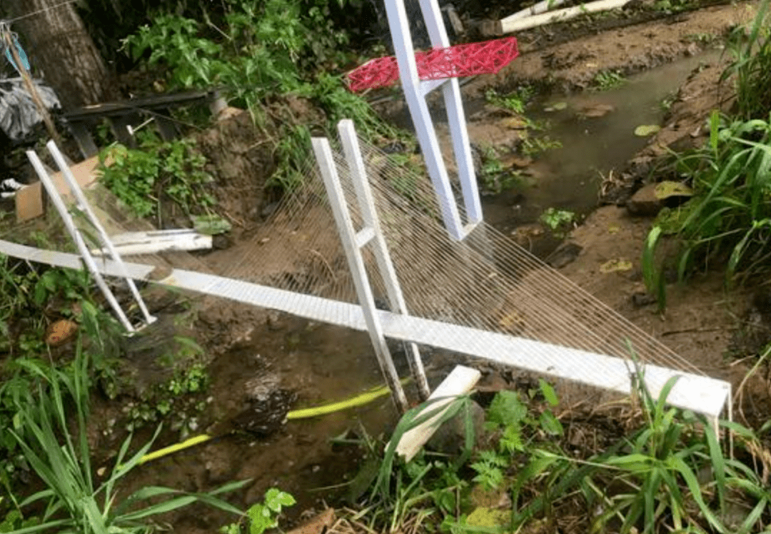 手机|看完别人的暑假，手里的手机突然不好玩了…