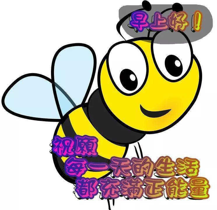 2736a9e483ba473b9e3f11be45bdd2d3.jpeg