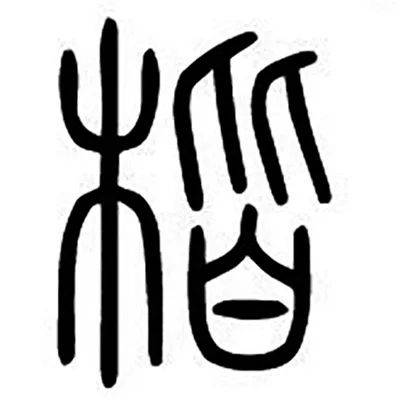 楷模|字里行间丨楷模原是两棵树