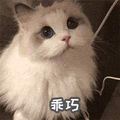 苏州市|这些学校，开学时间定啦！