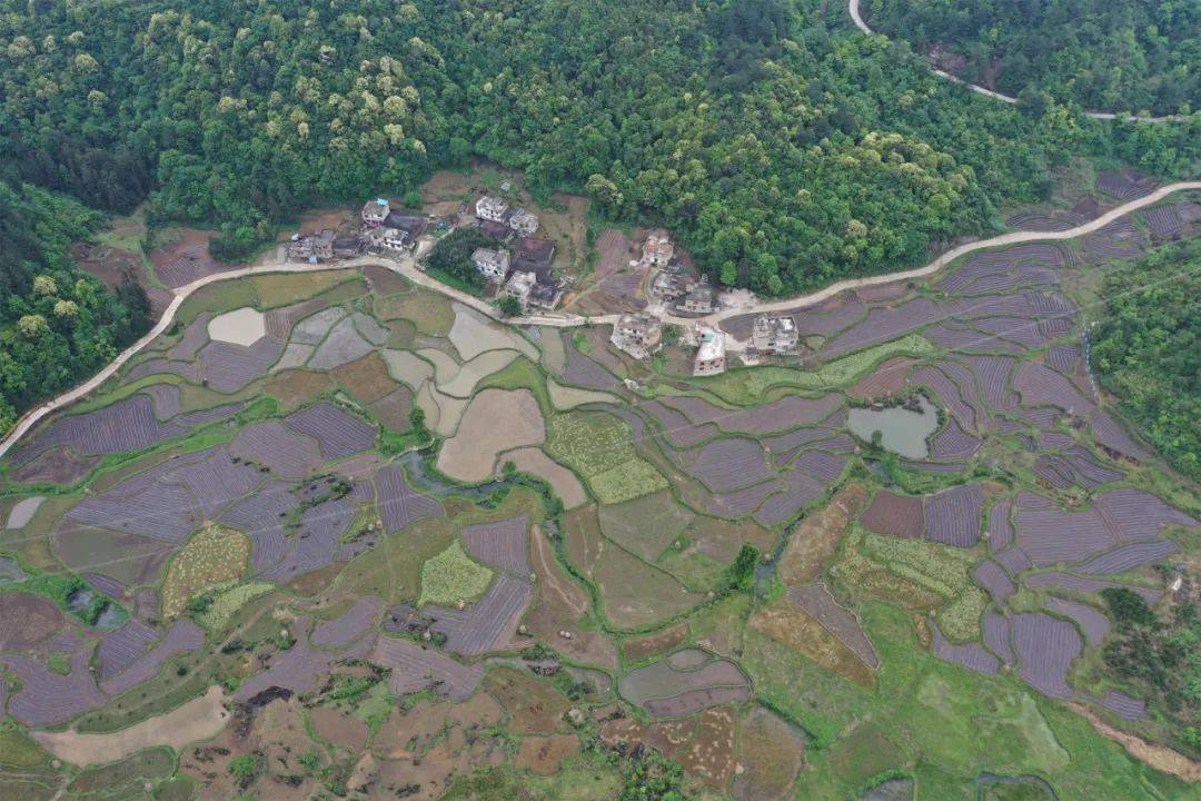 三都县gdp_三都县