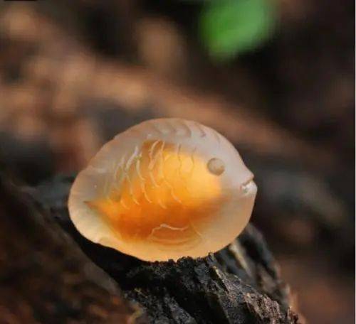 玛瑙|杨杨：5大“美人玉”，价格低哭了！却颜值不输翡翠，质感媲美羊脂！