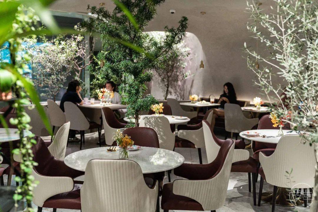 植物园|魔都也有了！帝都刷屏的“植物园餐厅”