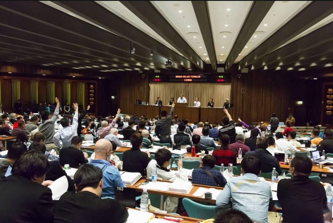 崔溢云|专访哥本哈根皮草中国区总裁崔溢云：如何应对Gucci等大牌弃用危机？