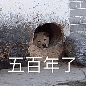 沙雕斗图表情包 | 有本事你打我嘛