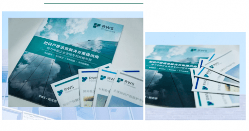 王华伟|企业家专访｜第15期·「RWS中国公司」王华伟：全球专利战略布局，构筑知识产权护城河