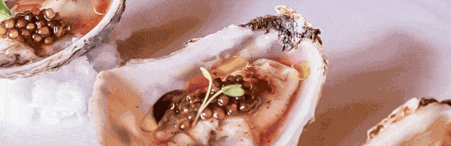 味道|RR · LIFESTYLE | 百不一遇蚝酒间