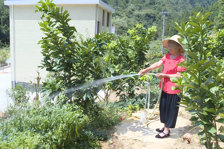 胡继仁|乡村最美家庭丨随遇而安是一种好的心态