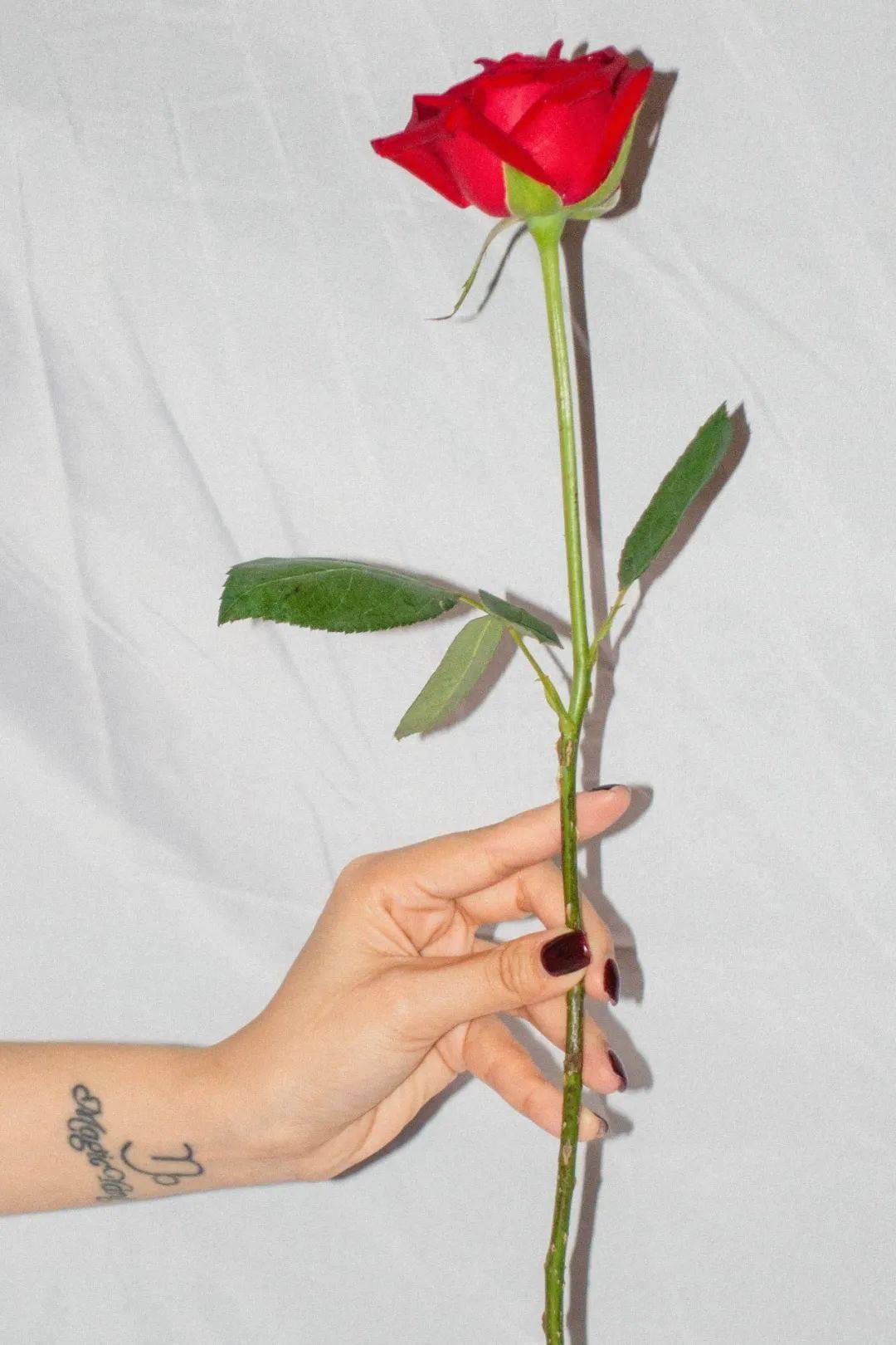 礼品|七夕礼品清单 | 也是犒劳自己的好礼清单