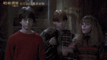 不是每一种魔法都叫《哈利波特》4k3d修复版