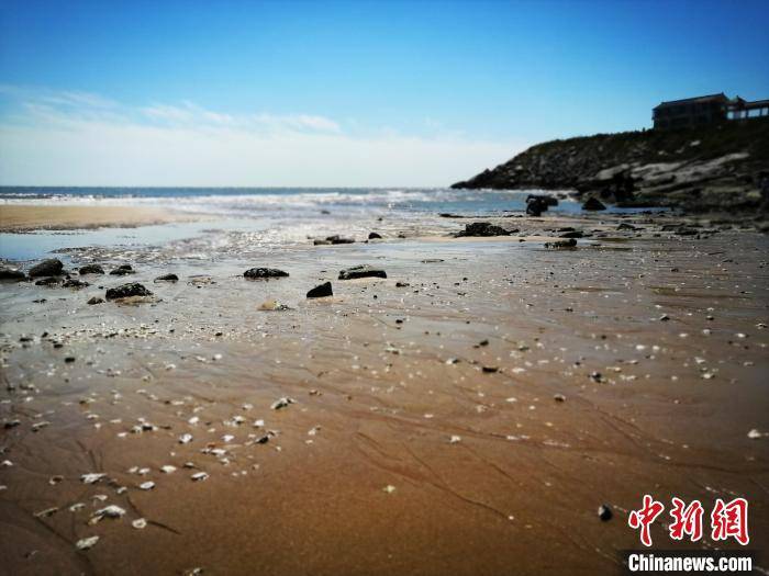 发展|辽宁葫芦岛发展海洋渔业 为海洋生物安“家”