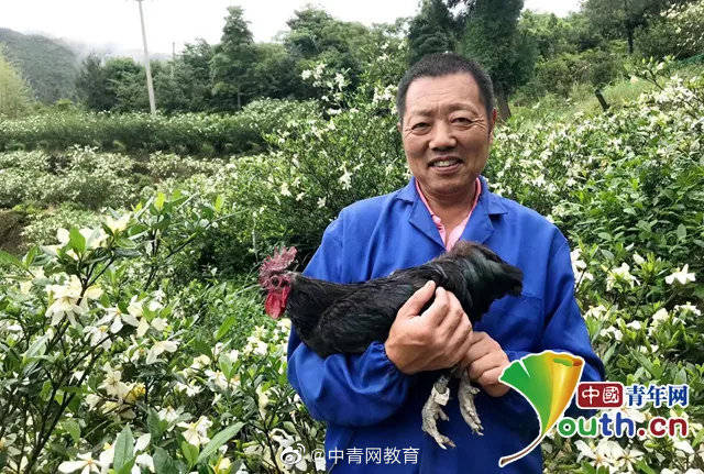 郭晨|大学生为鸡套上“脚环”记录步数 带动农户增收近4倍