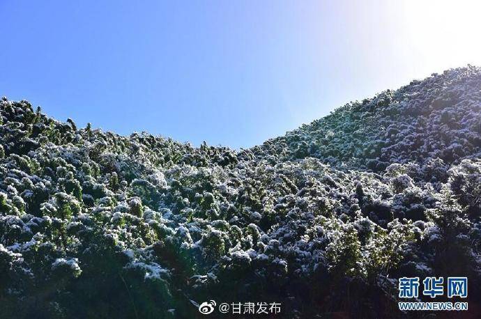 夏秋冬|甘肃肃南迎秋雪 夏秋冬三季景色“同框”
