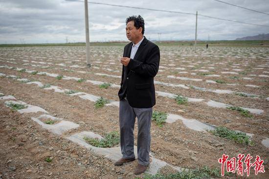 宁夏|家门口的小康路