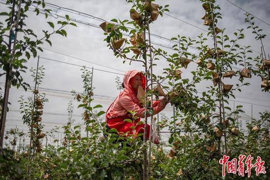 宁夏|家门口的小康路