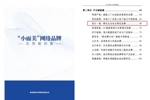 田园|每日一淘、拼多多、小红书等企业获评商务部“小而美”优秀品牌