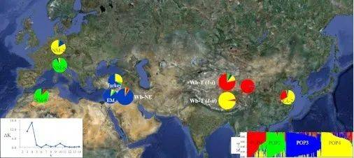 栽培|青稞酒和大麦茶，本是同根生