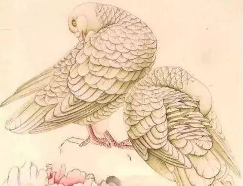 工笔是哪种画法的技法 f80f495f893e4844aad9423e5de38f79.jpeg