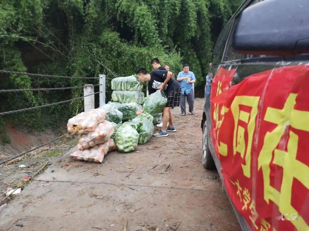开云app官方网站下载-
点赞！宜宾三名大学生向泥溪捐赠1000斤新鲜蔬菜(图1)
